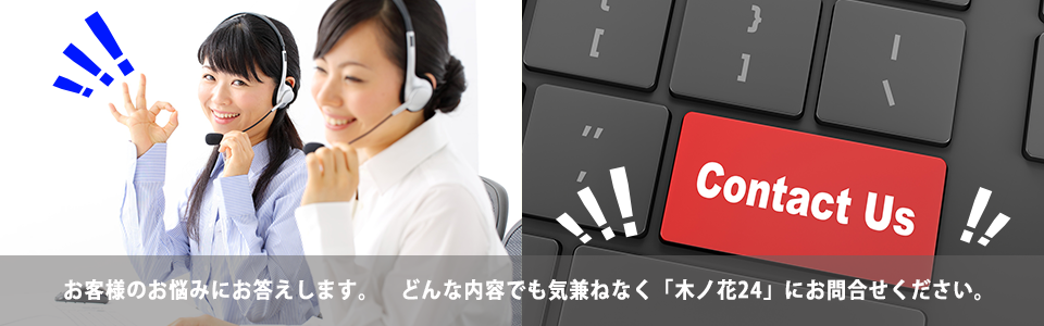 株式会社 木ノ花24　では、Webサイト制作、広告・宣伝制作のご依頼を受け賜わります。お客様からのご相談をお待ちしております。